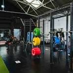 Fitness Forge Trial